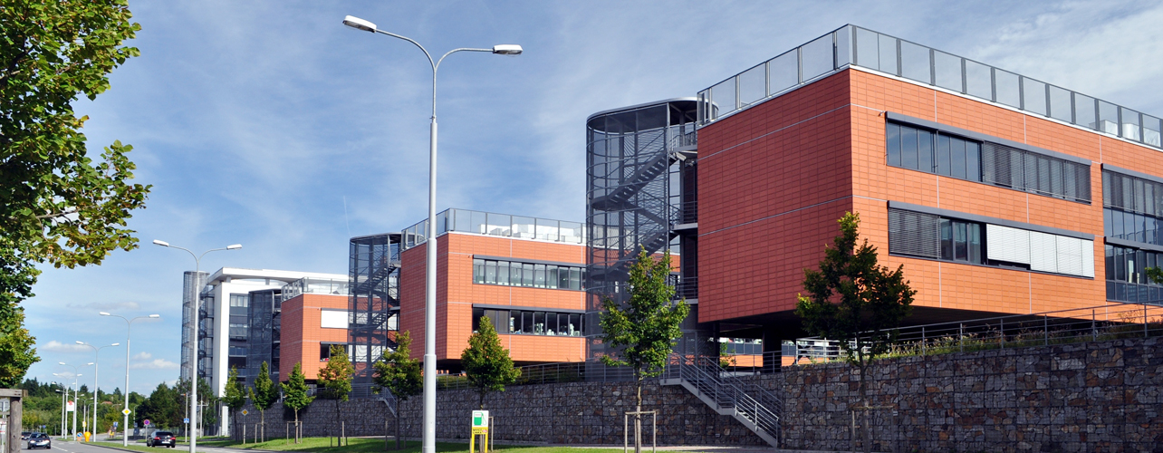 Brno University